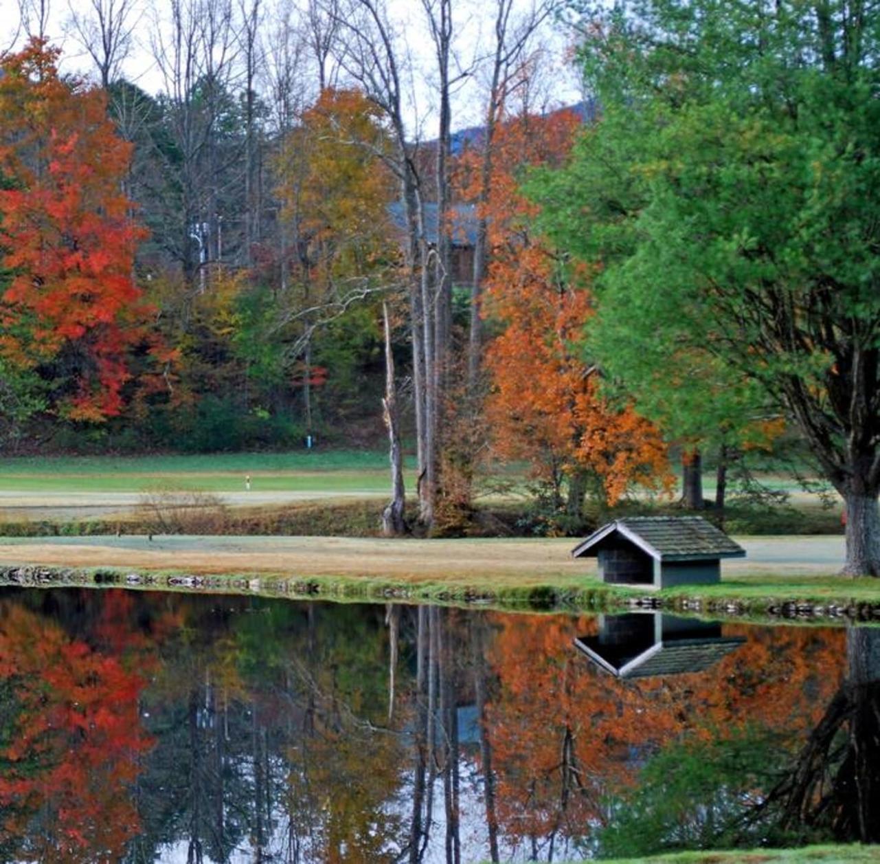 Peace, Serenity & Relaxation In The Smokies! Gatlinburg Exterior foto