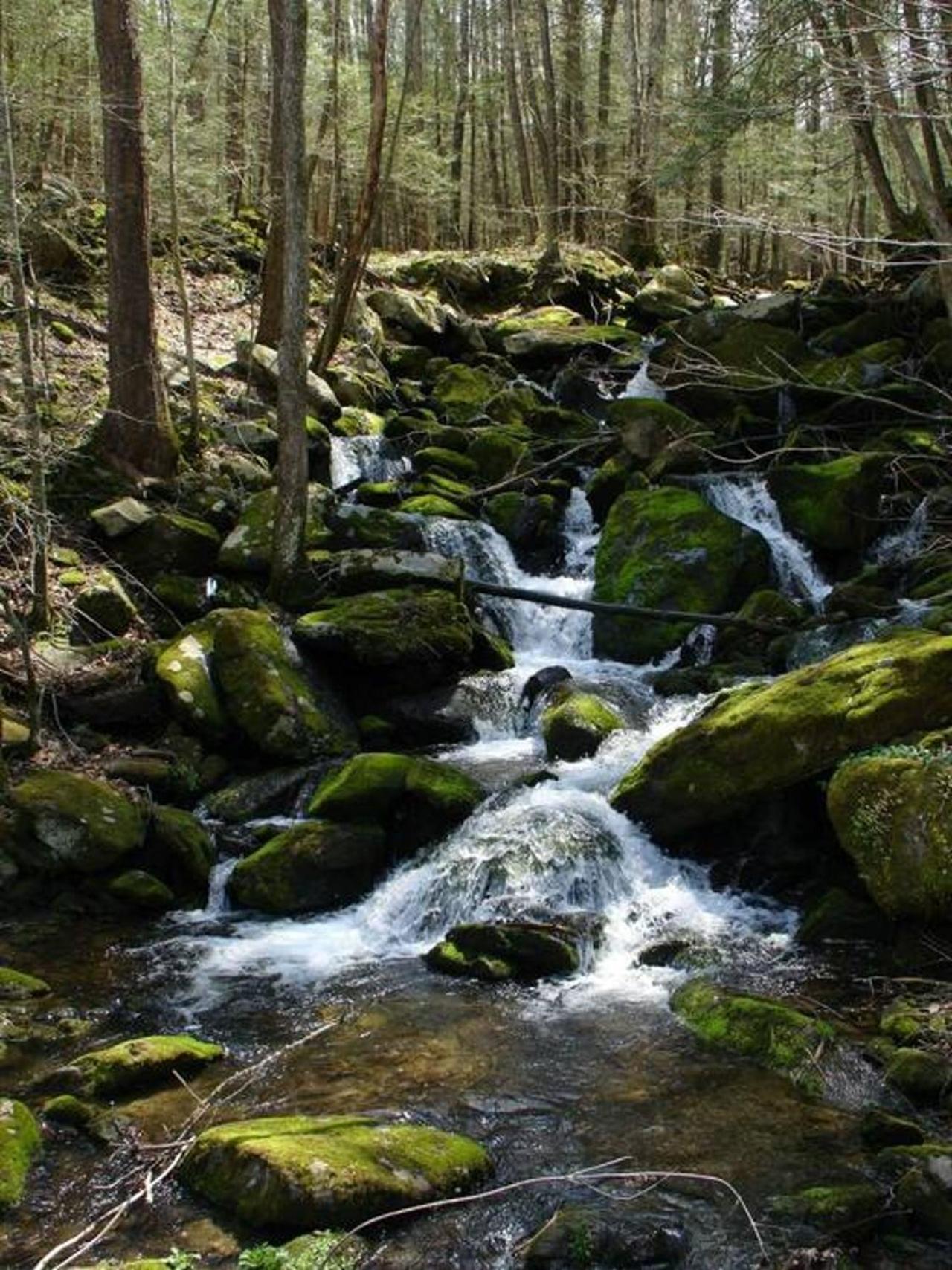 Peace, Serenity & Relaxation In The Smokies! Gatlinburg Exterior foto