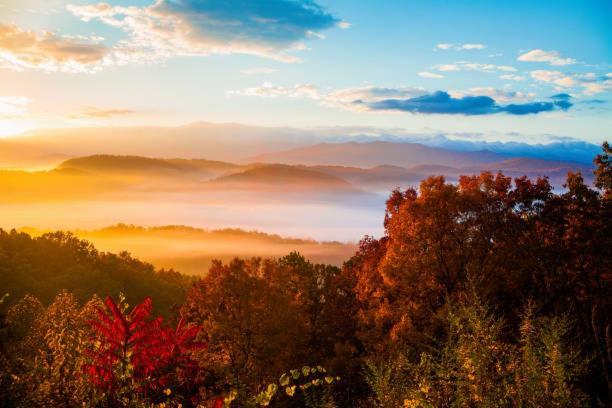 Peace, Serenity & Relaxation In The Smokies! Gatlinburg Exterior foto