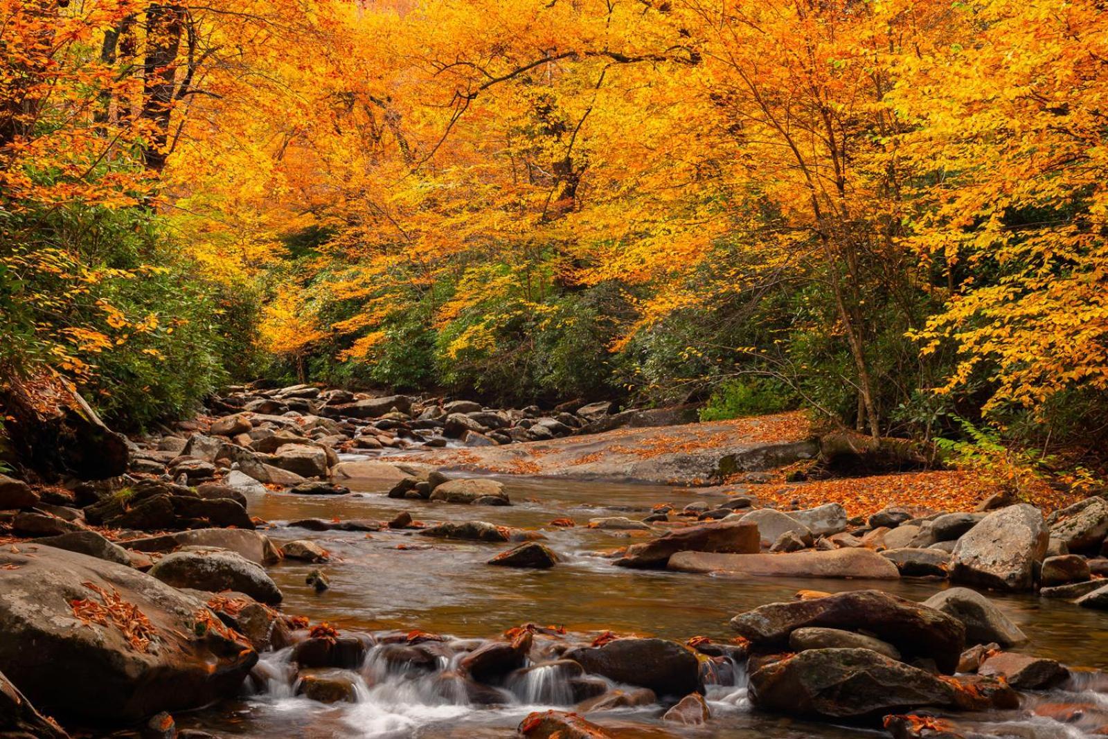 Peace, Serenity & Relaxation In The Smokies! Gatlinburg Exterior foto